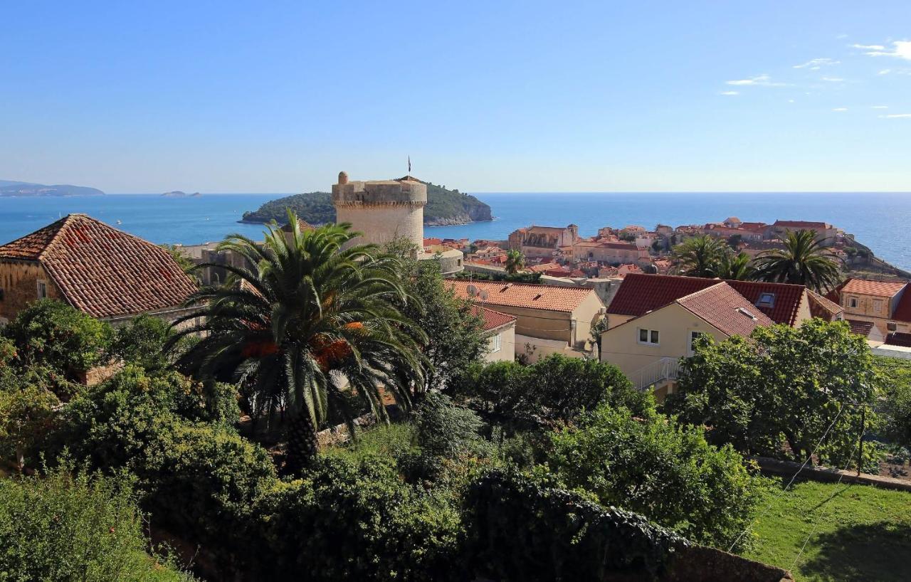 Vicina Summer Dubrovnik